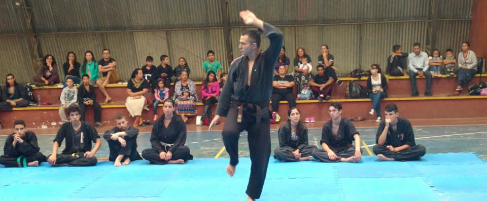 1 Festival de Hapkido aconteceu em Piraquara