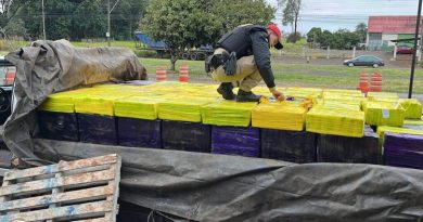 Placa suja de barro faz polícia encontrar 3,3 toneladas de maconha no Paraná