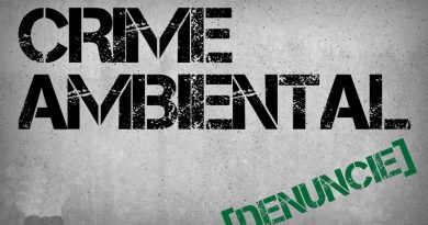 Principais Crimes Ambientais e Desafios que a Prefeitura tenta combater.